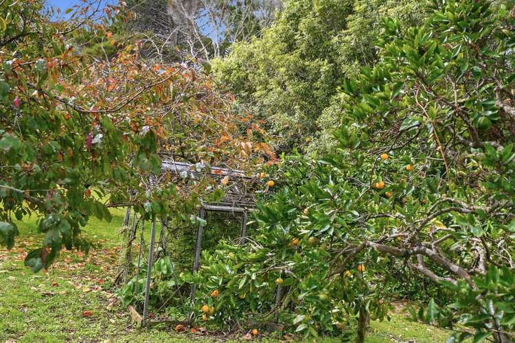 1 Bush Point Road Cable Bay_8