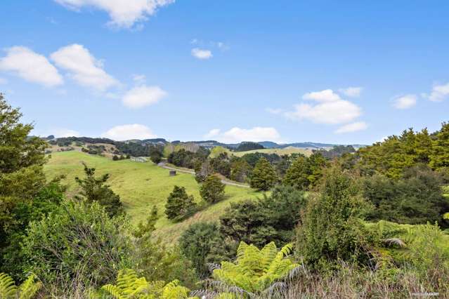 125 Shanks Road Helensville_2