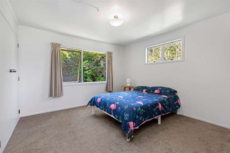 868 Allport Road Paengaroa_25