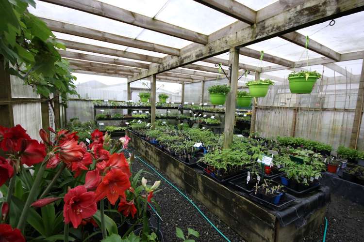 13 Jellicoe Road Manurewa_20