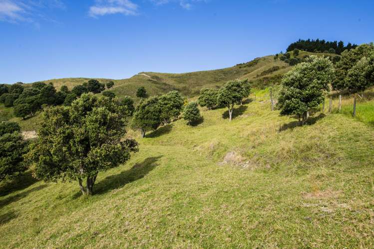 87 Lochiel Street Mahia_13