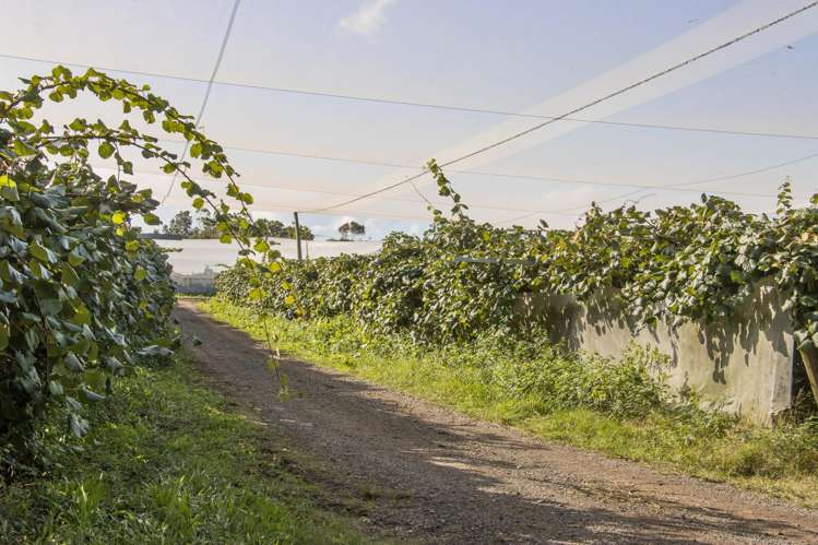 416 State Highway 2 Katikati_8