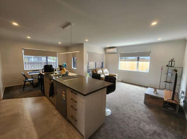114 Kuaka Drive Auckland Central_3