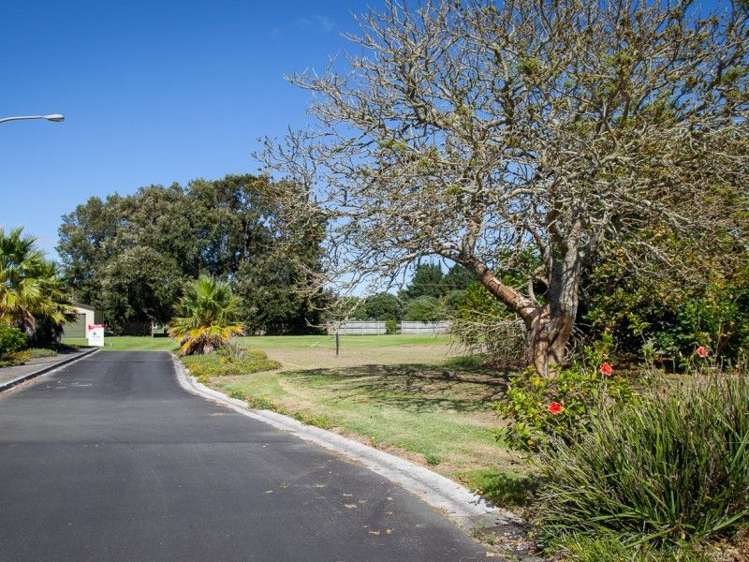 8 Flame Tree Lane Taipa_17