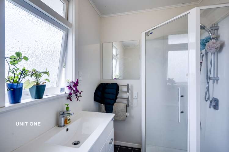 8 Chambers Street Havelock North_6