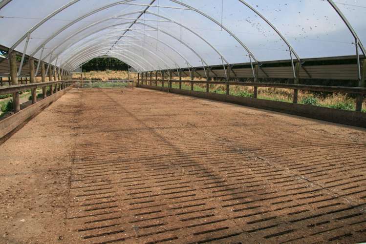 1996 Egmont Road Inglewood_6