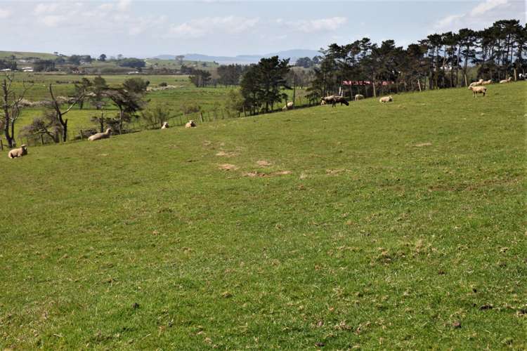 152 Evans Road Papamoa_3