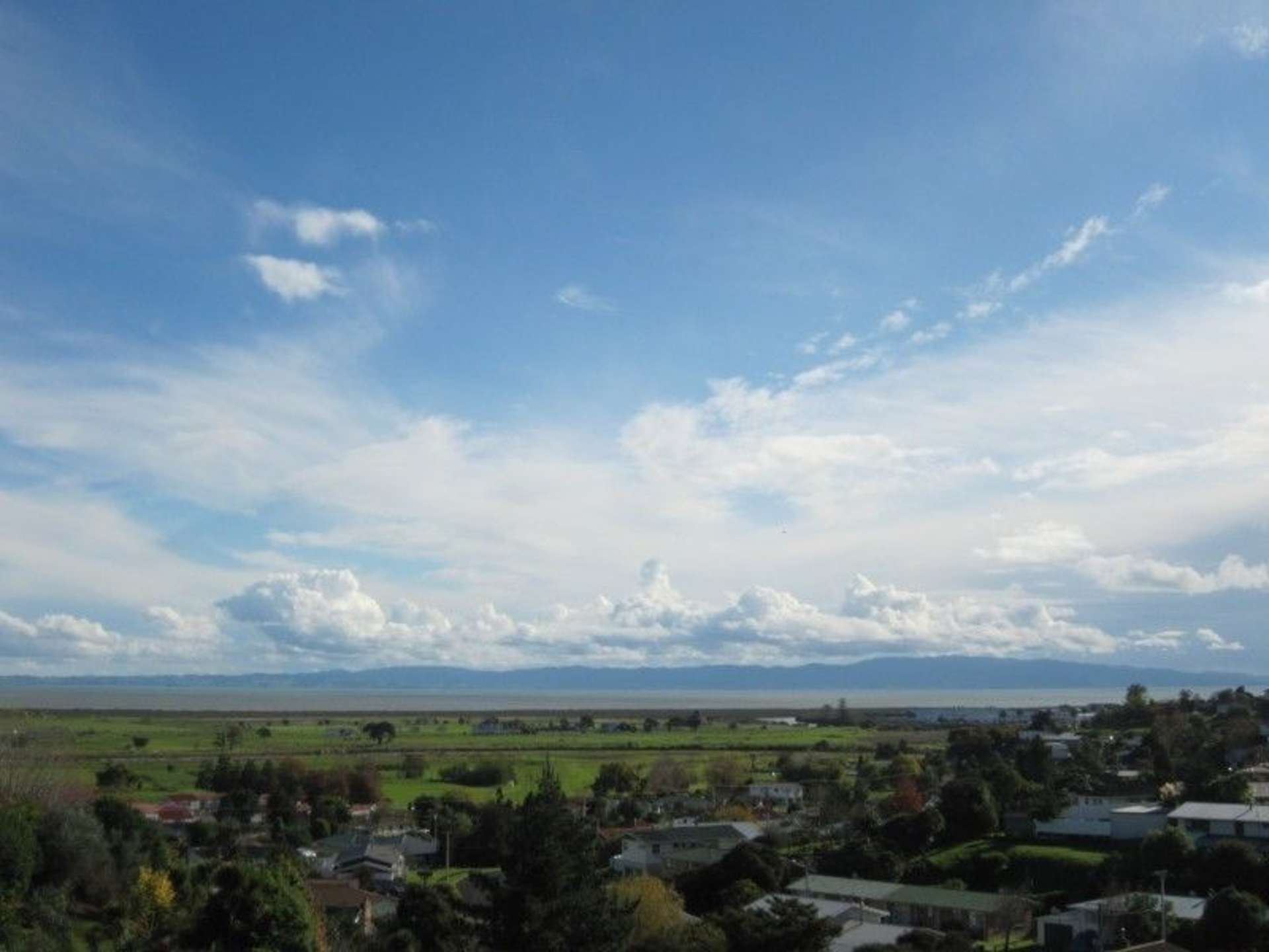 104 Alexander Close Thames_0