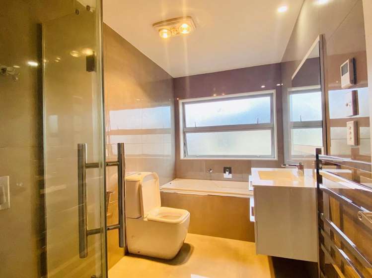 45 Ellis Avenue Mount Roskill_8