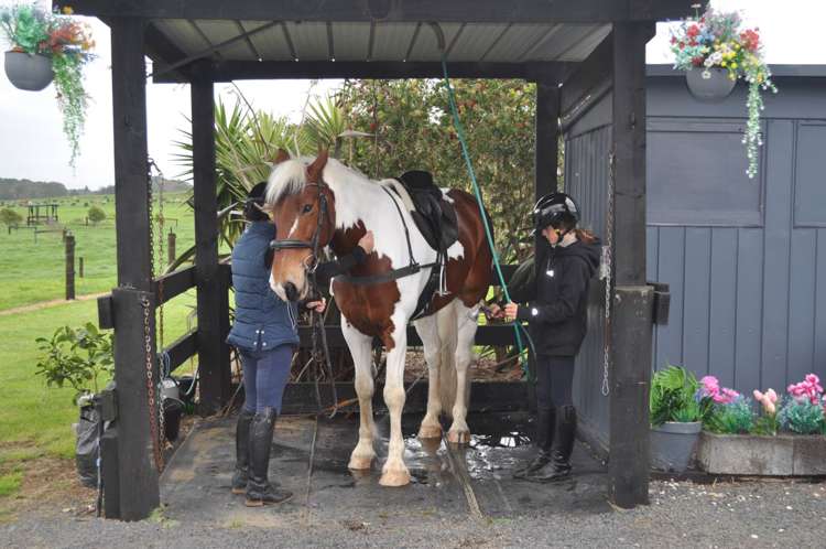 96 Westhead Road Waiuku_17