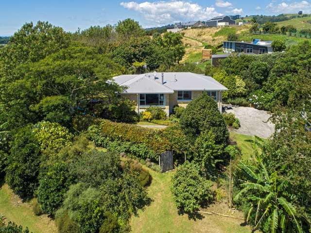 29 Whakamarama Road Whakamarama_4