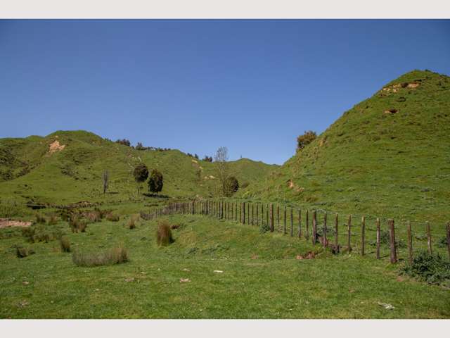 314 Kawautahi Road Owhango_2