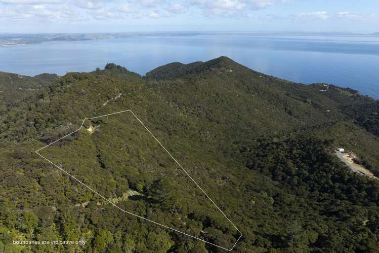 LOT 2 303 Waiaua Road Hihi_11