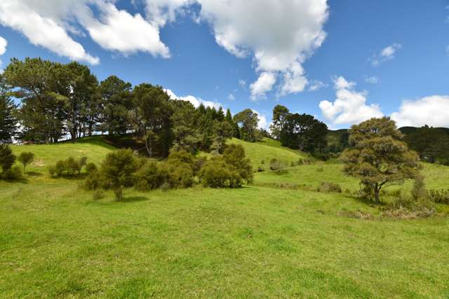 Lot 2, 294 Dods Road Waikite Valley_3