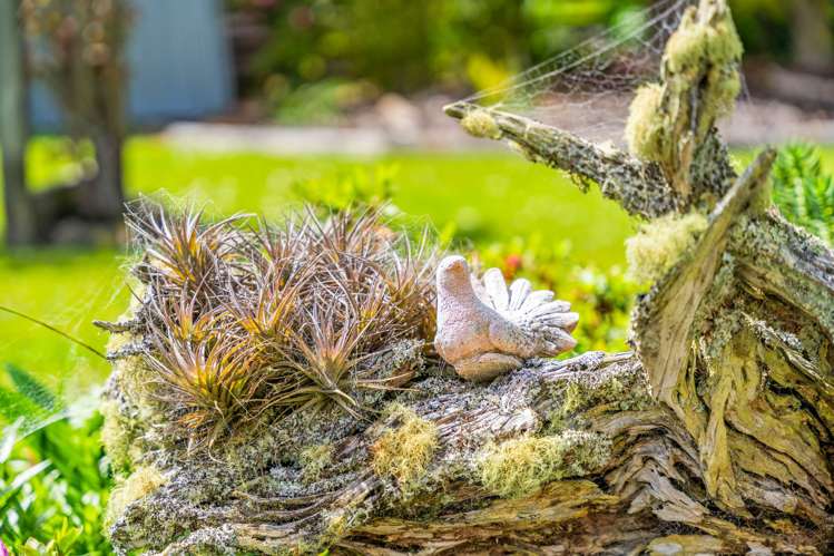 33 Kauri Street Dargaville_23