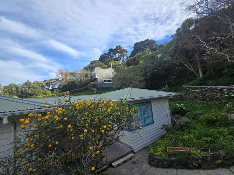 17 Freeling Street Island Bay_13