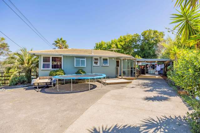438 Don Buck Road Massey_3