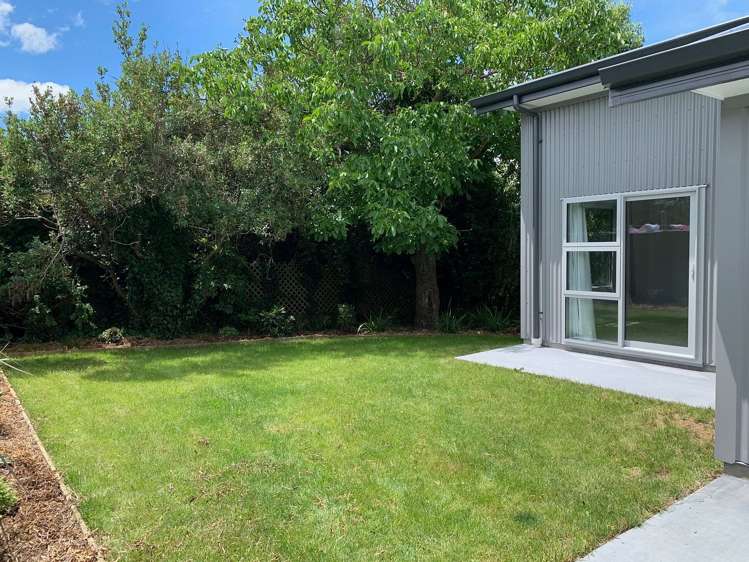 61 Wilson Street Geraldine_2