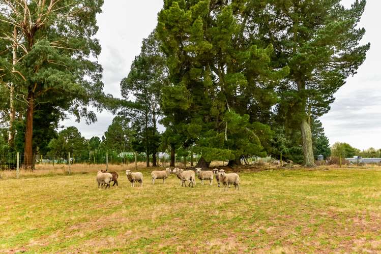 250 Two Chain Road Burnham_18