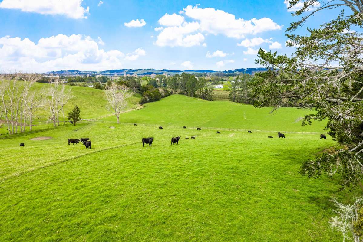 Quintal Farm_1
