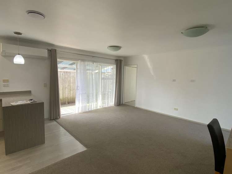 17E Maitland Street Frankton_2