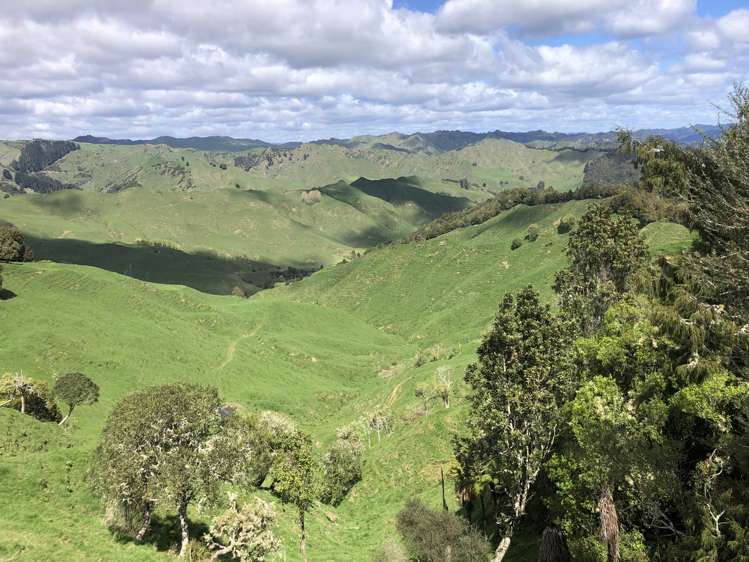 1041 Paparoa Road Whanganui National Park_18