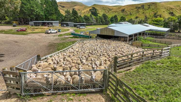 2 Cotswold Road Omihi_34