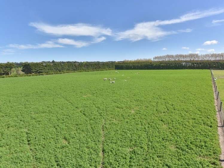 4/736 Sandy Knolls Road West Melton_17