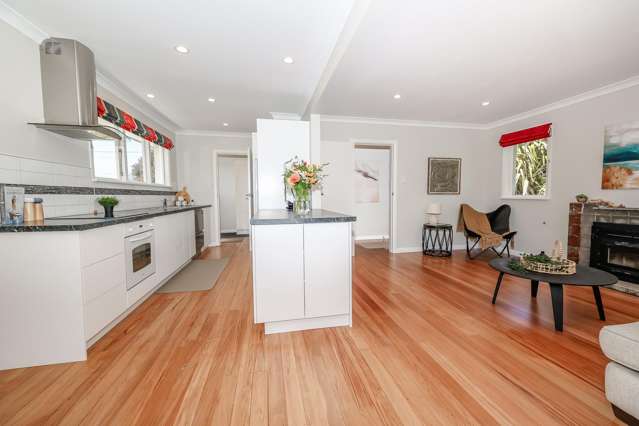 36 Glenmore Street Glenleith_3