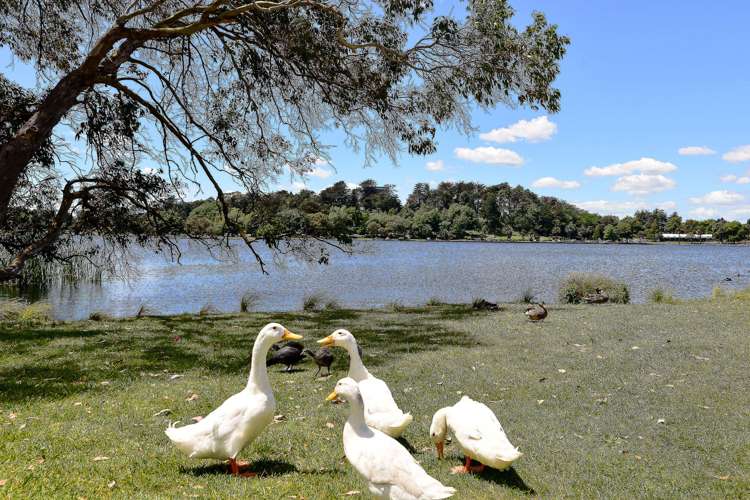 21b Rimmington Drive Hamilton Lake_17