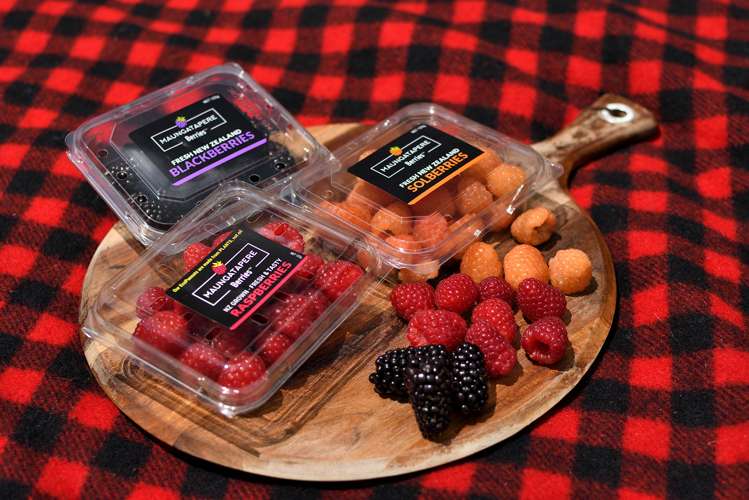 162 Pukeatua Road Maungatapere_22