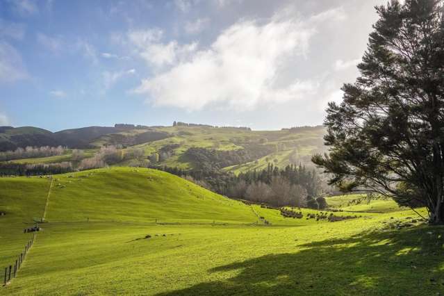 782 Glendhu Road Greta Valley_1