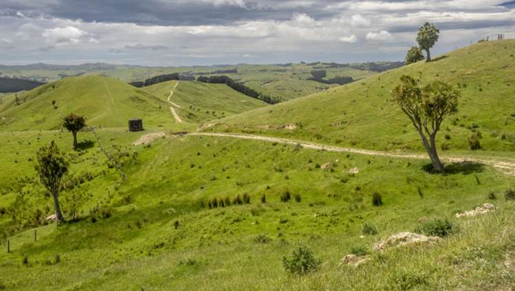 1543 Annedale Road Tinui_11