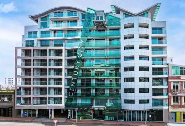 Secure Carpark in Prime Te Aro Location