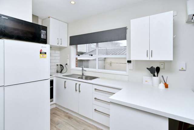 27A Elizabeth Street Riccarton_2