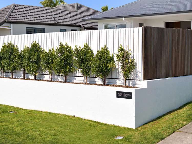 60A Campbell Road Mt Maunganui_1