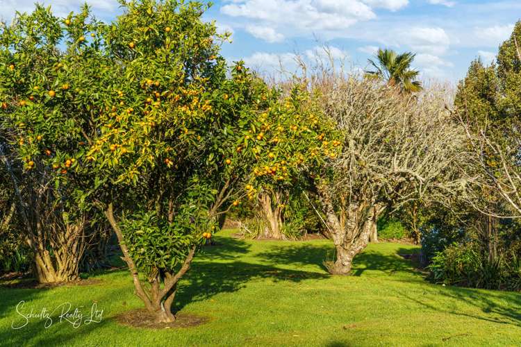 1181 State Highway 12 Maungaturoto_31