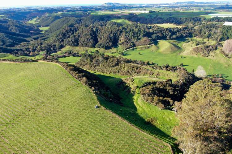 Maniatutu Road Pongakawa_17