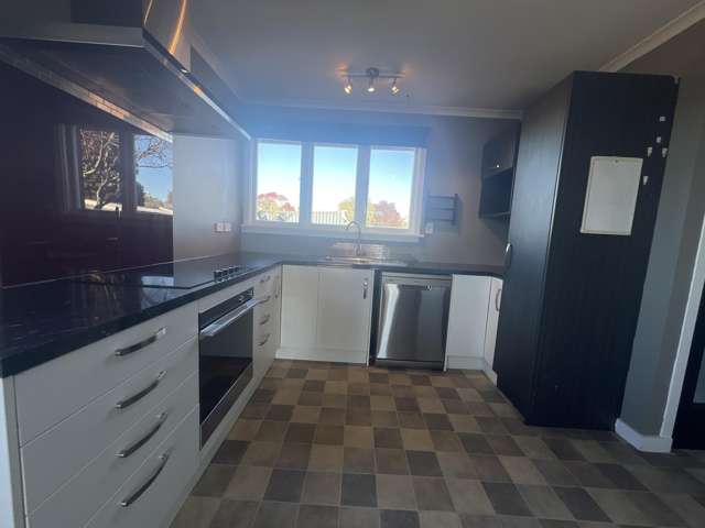 86 Princes Street Ashburton Forks_2