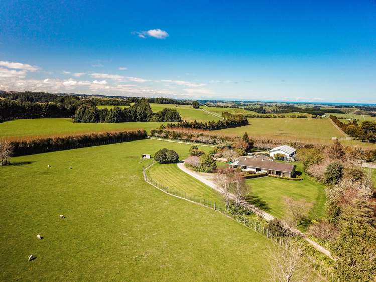 438 Omahina Road Waverley_13