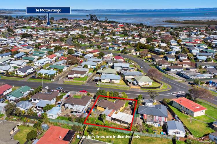 37 Barneys Farm Road Clendon Park_5