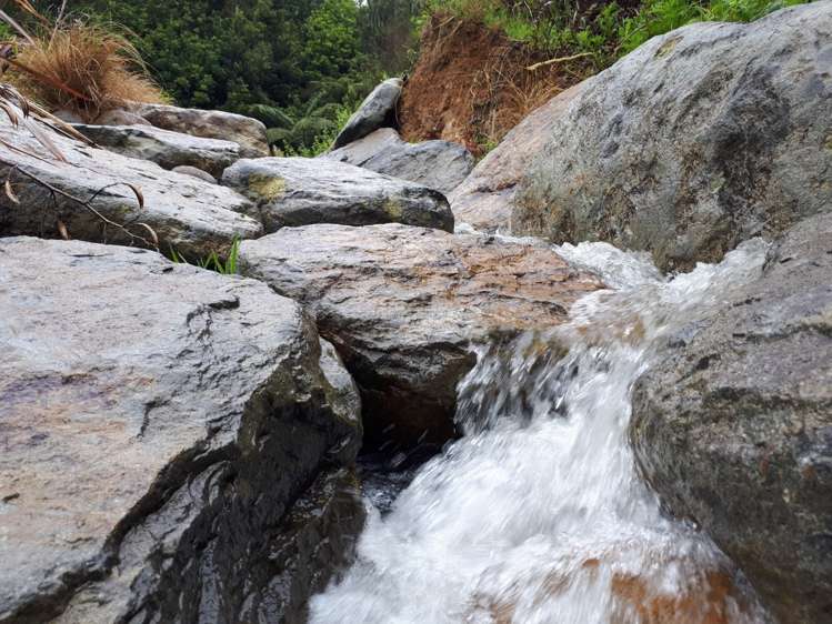 166c Heard Road Waihi_5