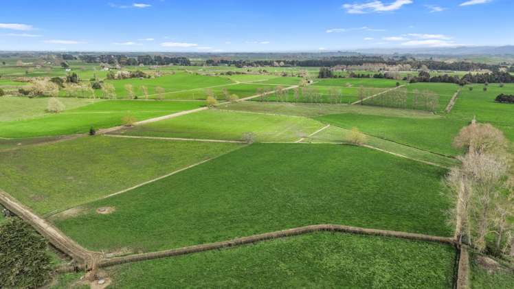 291 Waring Road Taupiri_45