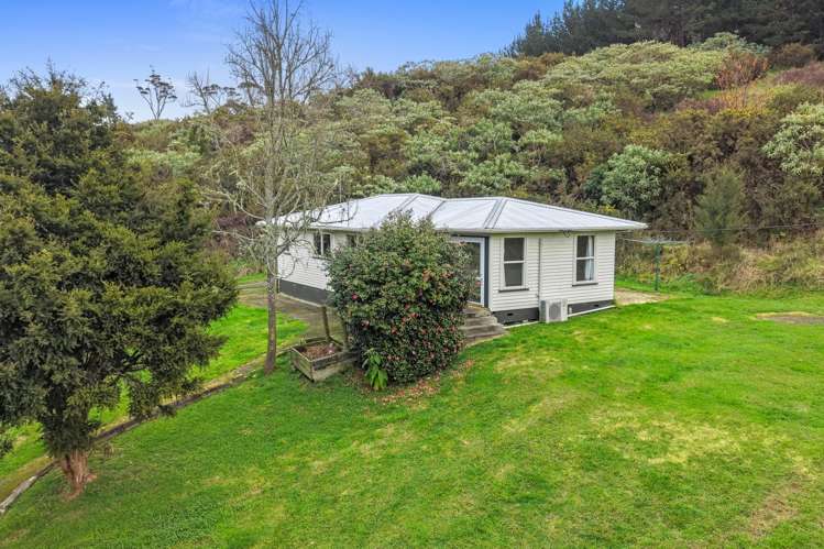 303 Cogswell Road Raglan_23