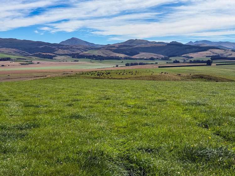 175 Stirling Road Waikaia_15