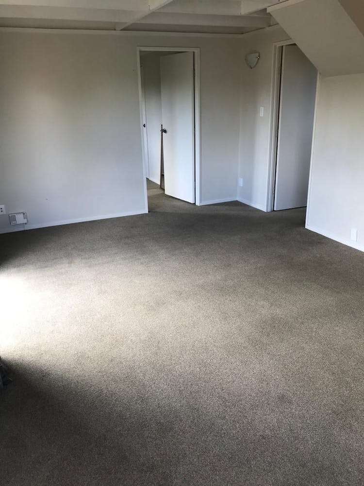 2/31 Shoreham Street Avondale_0