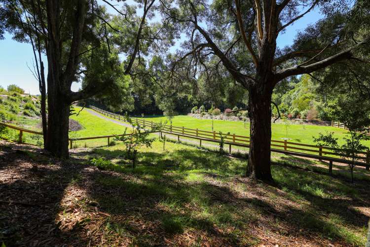 16 Karaka Place Kinloch_20