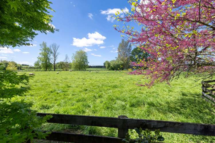 542 Kaipaki Road Ohaupo_30