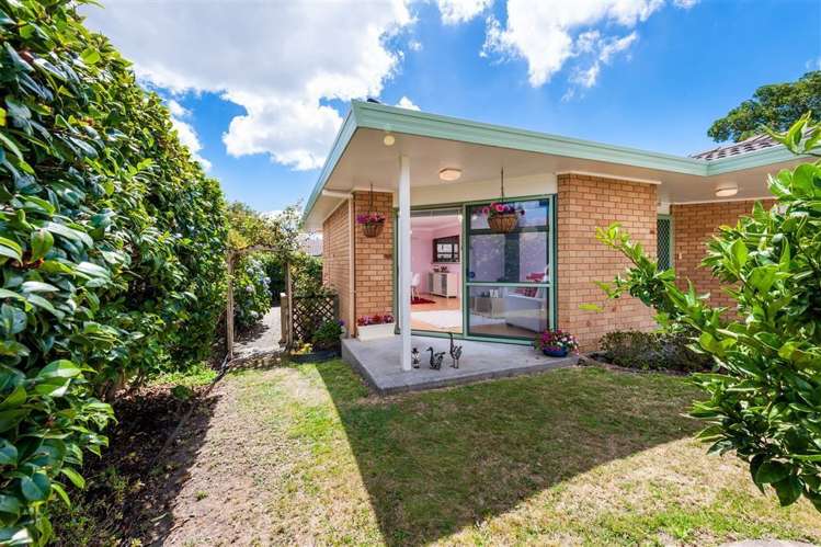 76a Sturges Road Henderson_19