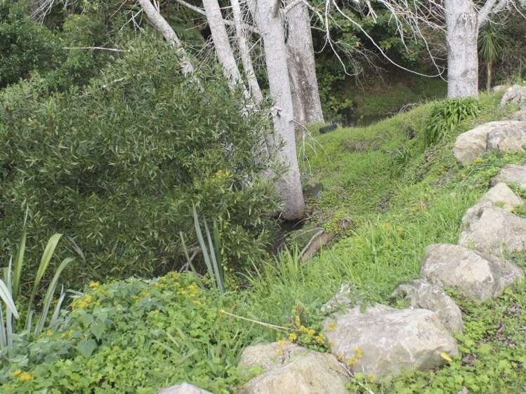 19 Darmah Lane Mangawhai_17